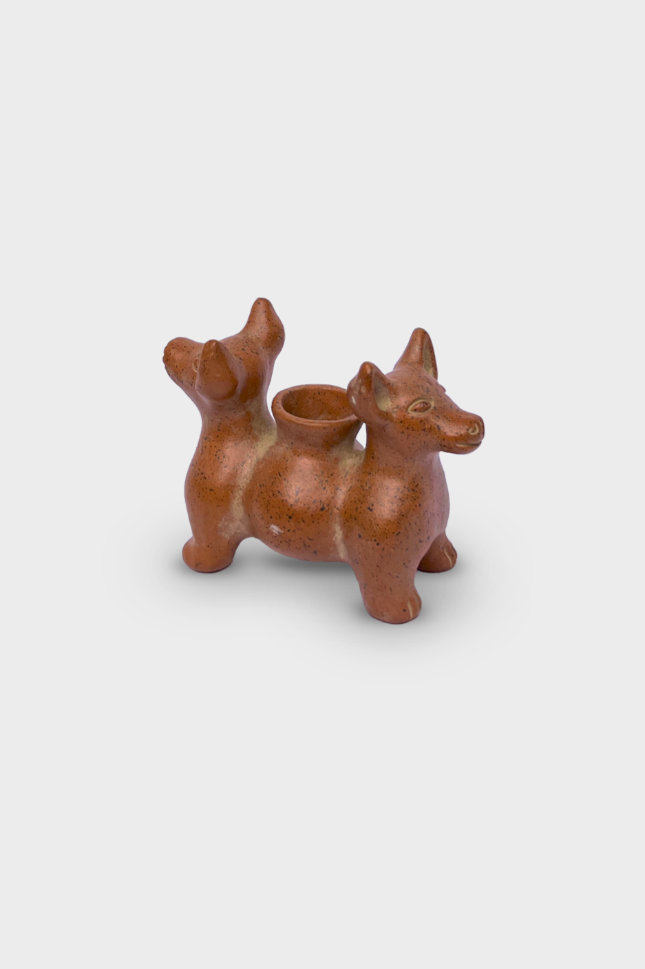 Perro Colima